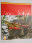 Vodní želvy - náhled