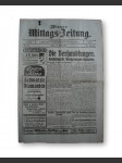 Wiener Mittags-Zeitung Nr. 15 Freitag 18. Januar 1918 - náhled