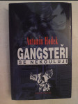 Gangsteři se nekoulují - náhled