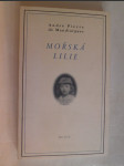 Mořská lilie - náhled