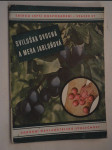 Sviluška ovocná a mera jabloňová, velmi nebezpeční škůdcové ovocných stromů - Pflanzenmilbe u. Apfelsauger, zwei sehr gefährliche Schädlinge der Obstbäume - náhled