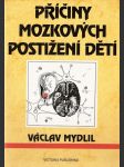 Příčiny mozkových poškození dětí - poškození mozku za vývoje a perinatální rizika - náhled