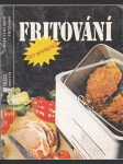 Fritování - 201 předpisů - náhled