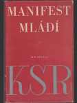 Manifest mládí - náhled