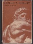 Kámen a bolest - Michelangelo Buonarroti - náhled