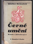 Černé umění - Die schwarze Kunst - Román o Gutenbergovi - náhled