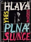 Hlava plná slunce - náhled