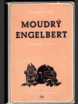 Moudrý Engelbert - Láskyplný román - náhled