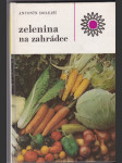 Zelenina na zahrádce - náhled