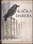 Kačka Dareba - náhled