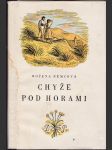 Chyže pod horami - obrázek ze Slovenska - náhled