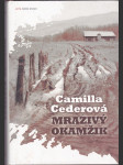 Mrazivý okamžik - náhled