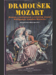 Drahoušek Mozart - román o milostném a tvůrčím životě Wolfganga Amadea Mozarta - náhled