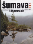 Šumava - náhled