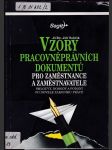 Vzory pracovněprávních dokumentů - Smlouvy, dohody a podání po novele zákoníku práce - náhled