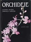 Orchideje - náhled