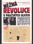 Něžná revoluce v pražských ulicích - náhled