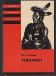 Tekumseh - vyprávění o boji rudého muže, sepsané podle starých pramenů. Díl 1-3 - náhled