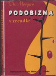 Podobizna v zrcadle - náhled