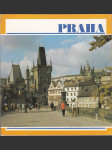 Praha - náhled