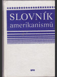 Slovník amerikanismů - náhled