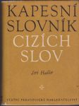 Kapesní slovník cizích slov - náhled