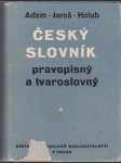 Český slovník pravopisný a tvaroslovný - náhled