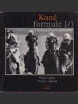 Koně formule 1/1 - náhled