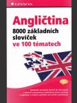 Angličtina - 8000 základních slovíček ve 100 tématech - náhled