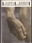 Kámen a bolest - román o Michelangelovi Buonarroti - náhled