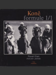 Koně formule 1/1 - náhled