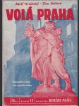 Volá Praha - reportáž z míst, kde končila válka - náhled