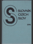 Slovník cizích slov - náhled