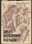 Socha rozčísnutá bleskem - Román - náhled