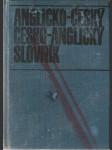 Anglicko-český a česko-anglický slovník - náhled