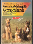 Grundausbildung für Gebrauchshunde - náhled