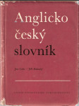 Anglicko-český slovník - náhled