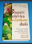 Slepičí polévka pro českou duši - náhled