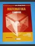 V kostce - Matematika  (malá ) - náhled