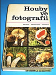 Houby ve fotografii - náhled