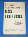 Liška Bystrouška - náhled