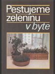 Pestujeme zeleninu v byte - náhled