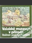 Valašské muzeum v přírodě - Rožnov pod Radhoštěm - náhled