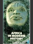 Africa in Modern History - náhled