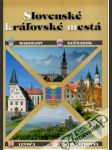 Slovenské kráľovské mestá - náhled