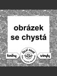 Slovensko-český slovníček/ bibliografický seznam - náhled