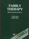 Family Therapy: Basic Concepts and Therms - náhled