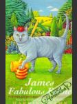 James, Fabulous Feline - náhled