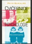 Cvičebnice psychologie - náhled