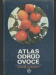 Atlas odrůd ovoce - náhled